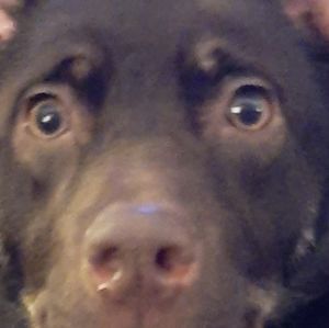 Meet your Posher, Edwin